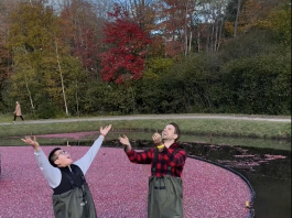 Bala Cranberry Festival 2023