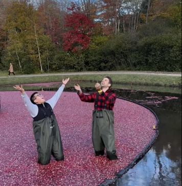 Did You Attend Bala, Port Carling Or Cranberry Festival? Your Feedback Would Be Great Bala Cranberry Festival 2023