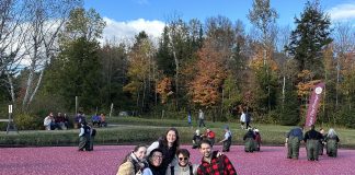 Bala Cranberry Festival