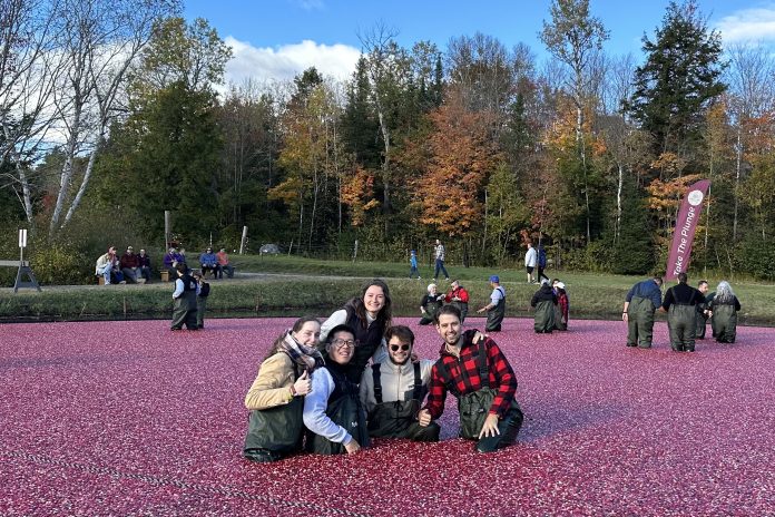 Bala Cranberry Festival