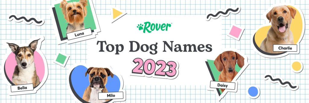 The Most Popular Dog Names Of 2023 In Canada