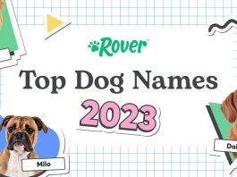 The Most Popular Dog Names Of 2023 In Canada