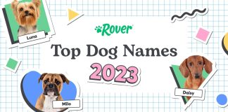 The Most Popular Dog Names Of 2023 In Canada