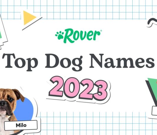 The Most Popular Dog Names Of 2023 In Canada