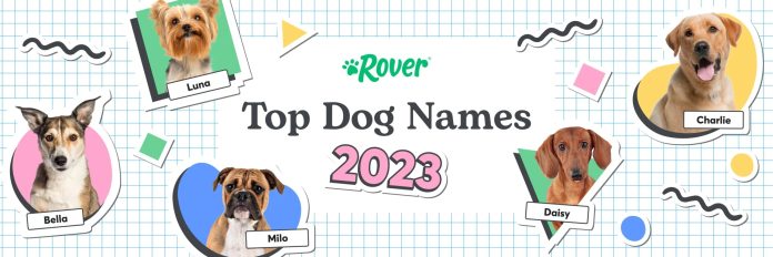 The Most Popular Dog Names Of 2023 In Canada