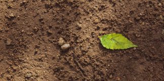Soil management