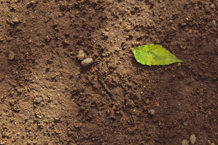 Soil management