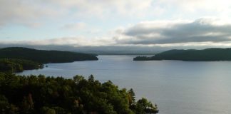 Land acquisitions announced at Muskoka Conservancy annual meeting