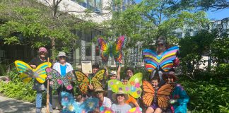 Pollinator Week Making a Buzz
