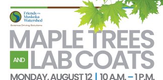 Free Hike With Forest Scientists: Learn How Wood Ash Is Helping Our Trees