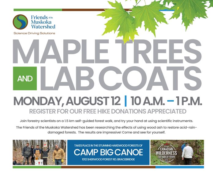 Free Hike With Forest Scientists: Learn How Wood Ash Is Helping Our Trees