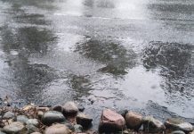 MNR Warns Of Elevated Water Levels And Flows On The Severn River And French River