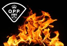 Arson Charge Laid After Island Fire In Algonquin Highlands Back In September