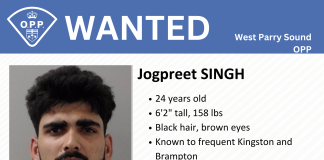 Kingston Man Wanted By Police - Jogpreet Singh