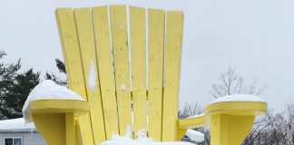 The Fellow in Yellow Trevor Redmond in Gravenhurst