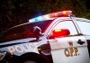 Charges Laid After Stolen Vehicle Found On Hwy. 400 in Georgian Bay Township