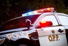 Charges Laid After Stolen Vehicle Found On Hwy. 400 in Georgian Bay Township