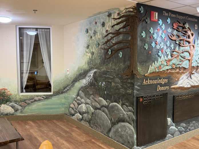 The newly expanded donor recognition wall at the Pines Long-Term Care Home