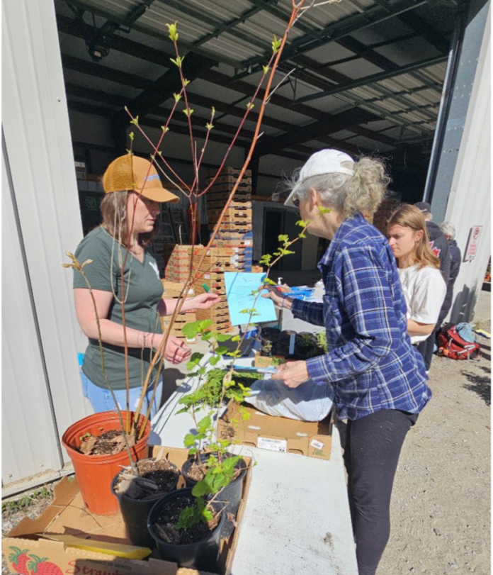 muskoka conservancy plant sale