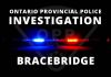 Bracebridge Youth Faces Six Criminal Charges