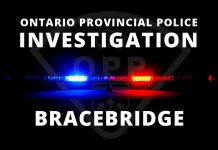 Bracebridge Youth Faces Six Criminal Charges