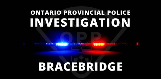 Bracebridge Youth Faces Six Criminal Charges