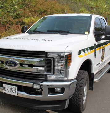 One Person Fined A Total Of $11,000 For Moose Hunting Violations