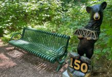 Bracebridge Reveals Name Of Storybook Trail Bear Sculpture