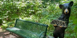 Bracebridge Reveals Name Of Storybook Trail Bear Sculpture