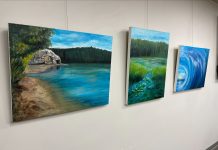 New Art Display Features Work By Carolyn M. Boyd