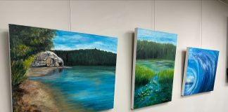 New Art Display In Gravenhurst Features Work By Carolyn M. Boyd
