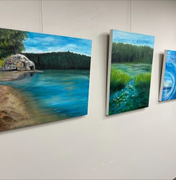 New Art Display In Gravenhurst Features Work By Carolyn M. Boyd