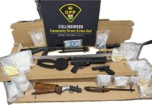 Huntsville OPP Help With Drug Investigation In Collingwood