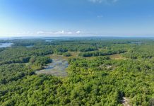 Georgian Bay Land Trust Launches Campaign To Protect 365 Acres Of Wilderness In Honey Harbour