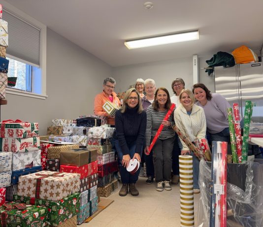 Muskoka Chapter, The Shoebox Project, Heather Scott and Volunteers