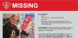 Bracebridge OPP Searching For Missing Youth