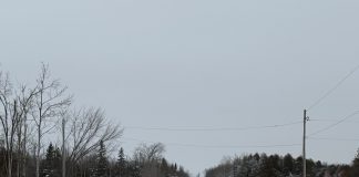 Fatal Collision On Killarney Bay Road Claims The Life Of Orillia Resident