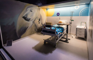 An example of what a finished room, complete with artwork by Kal Barteski, will look like. Taken by Kelly Morton Photo