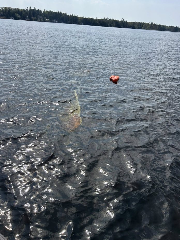 bala bay rock