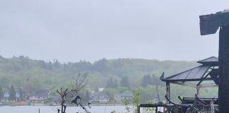 Human Remains Located, No Signs Of Foul Play After House Fire In Penetanguishene