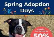 Find Your New Best Friend During The OSPCA’s Spring Adoption Days