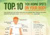 Health Unit Offers Guidance For Reducing Tick Risks