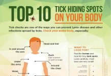 Health Unit Offers Guidance For Reducing Tick Risks