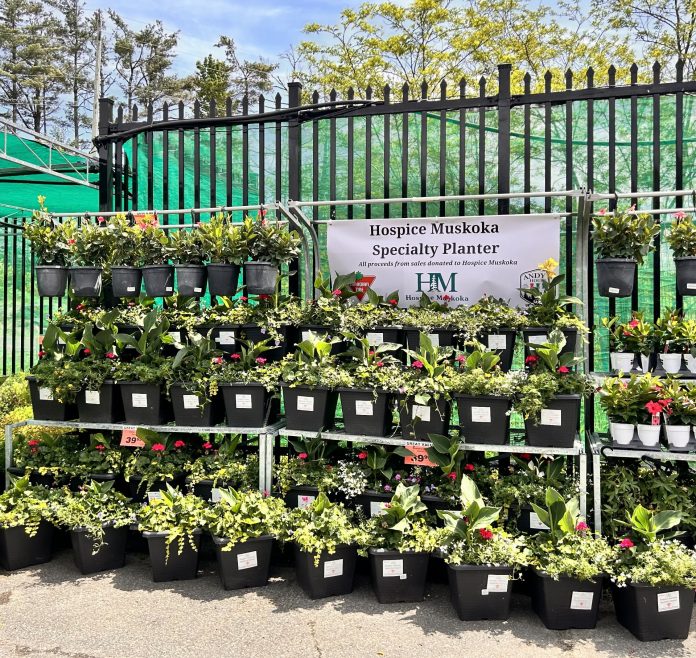 nat plants