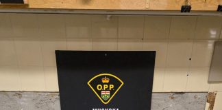 Two People From Gravenhurst Face Several Drug Charges