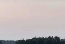 Drowning Incident On Lake Muskoka Near Walker’s Point On Saturday