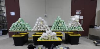 $139M In Drugs Seized In Cross-Border Investigation, Largest Drug Busts By Weight In Ontario