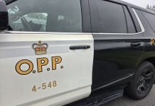 Bracebridge OPP Issue Eight Charges After Traffic Stop
