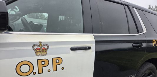 Bracebridge OPP Issue Eight Charges After Traffic Stop
