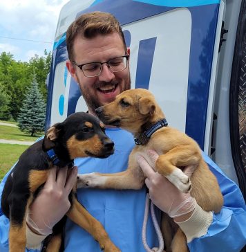 OSPCA Receives $28,500 Grant From PetSmart Charities To Support Animals Impacted By Wildfires